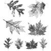 Tim Holtz Cling Stamps - Falling Leaves 1 Tim Holtz Cling Stamps - Falling Leaves -Bürobedarf Verkauf 0001824849