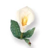 Flower, Calla Lily -Bürobedarf Verkauf 658854