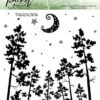 Picket Fence Studios - A Nightly Sky 6x6 Inch Clear Stamps