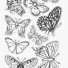 Hero Arts - Beautiful Butterflies Clear Stamp Set -Bürobedarf Verkauf screenshot2023 03 14165045