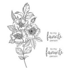 Spellbinders - BetterPress Letterpress System -Bürobedarf Verkauf spellbinders betterpress letterpress system bp 001 3