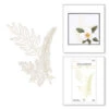 Spellbinders - Glimmer Ferns Glimmer Hot Foil Plate -Bürobedarf Verkauf spellbinders glimmer ferns glimmer hot foil plate